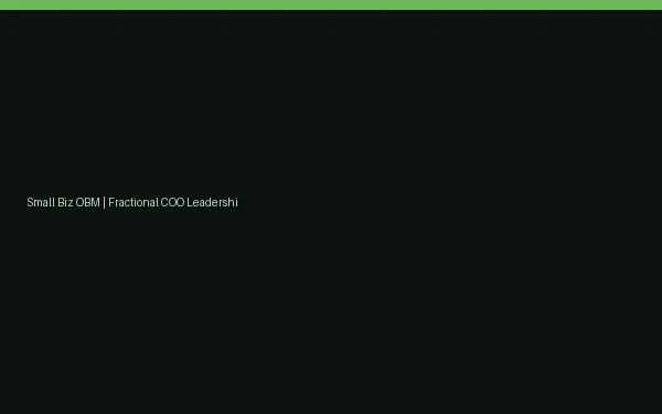 Small Biz OBM | Fractional COO Leadership website design preview